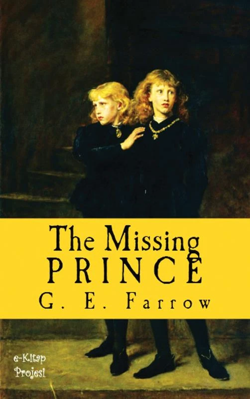 The Missing Prince – boek cover