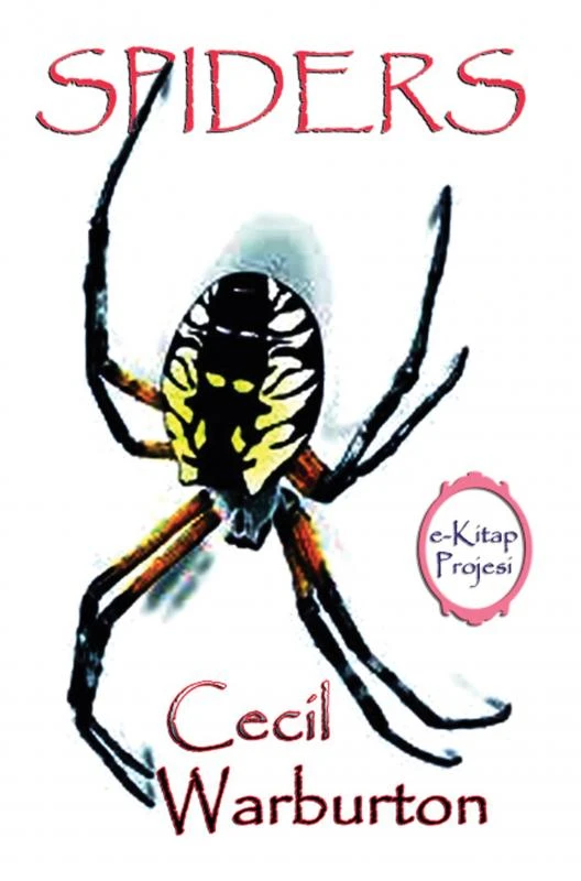 Spiders – boek cover