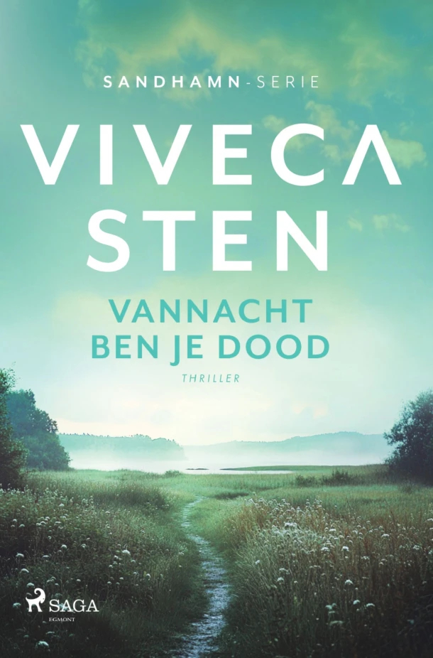 Vannacht ben je dood – Viveca Sten – boek cover
