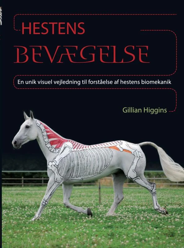 Hestens Bevægelse – Gillian Higgins – boek cover