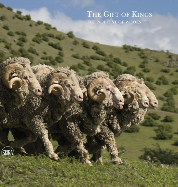 The Gift of Kings – boek cover