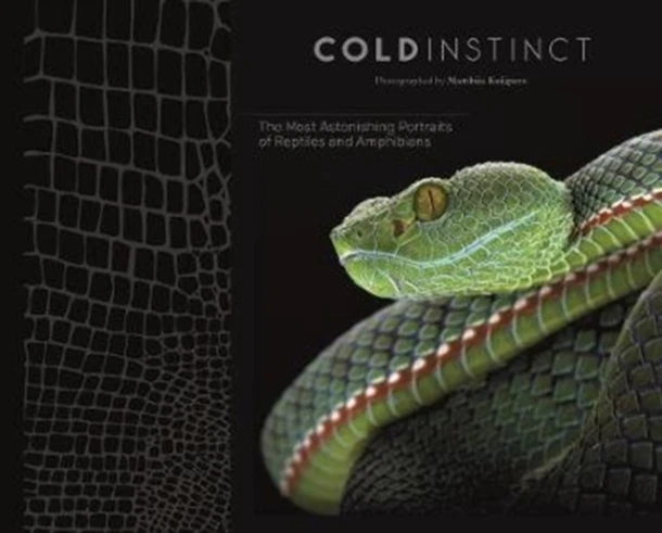 Cold Instinct – boek cover