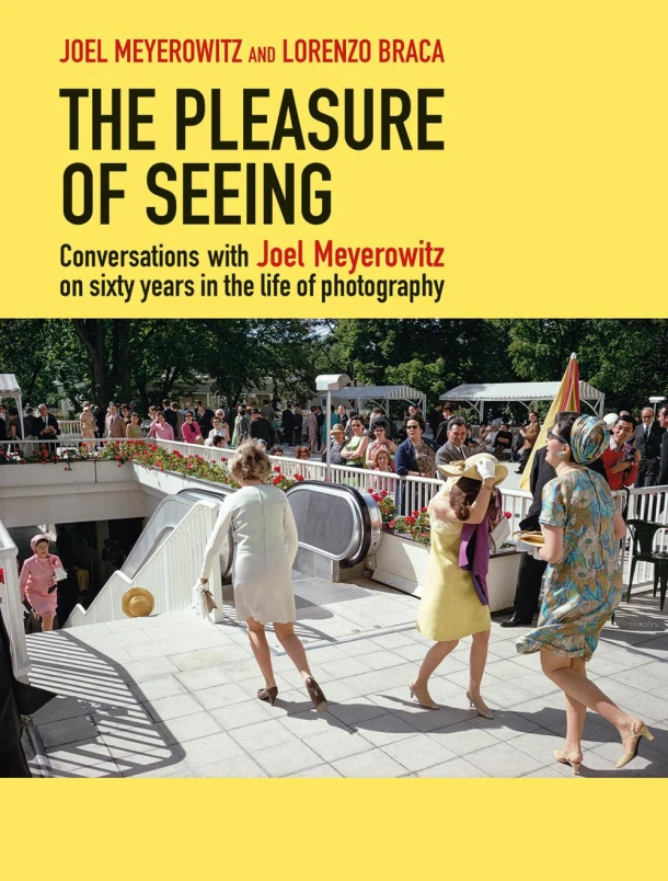 The Pleasure of Seeing – boek cover