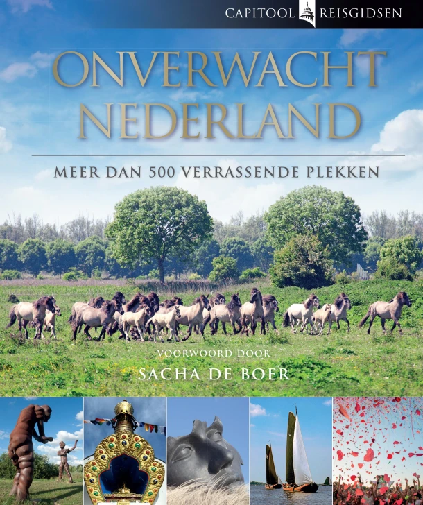 Onverwacht Nederland – Bartho Hendriksen – boek cover