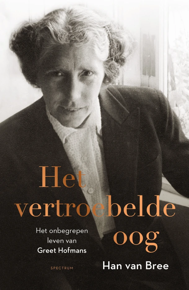 Het vertroebelde oog – Han van Bree – boek cover