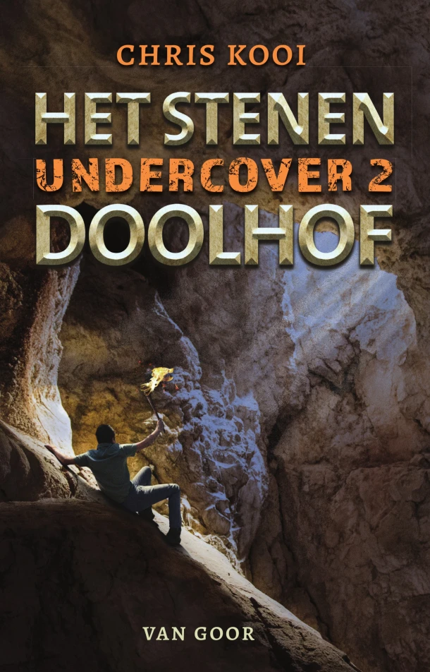 Het stenen doolhof – Chris Kooi – boek cover