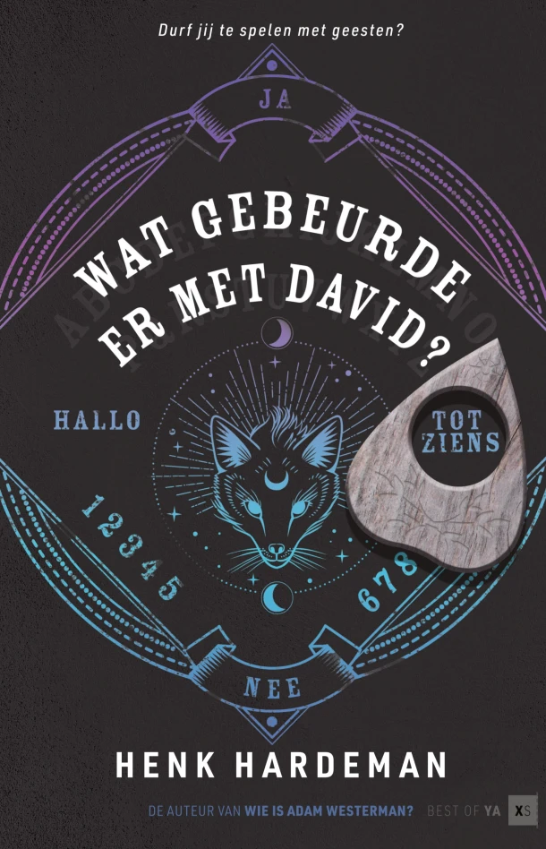 Wat gebeurde er met David? – Henk Hardeman – boek cover