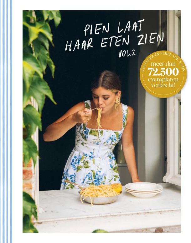 vol. 2 – Pien Wekking – boek cover