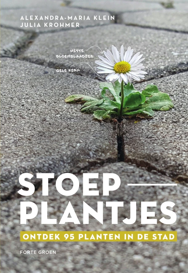 Stoepplantjes – Alexandra Maria Klein – boek cover