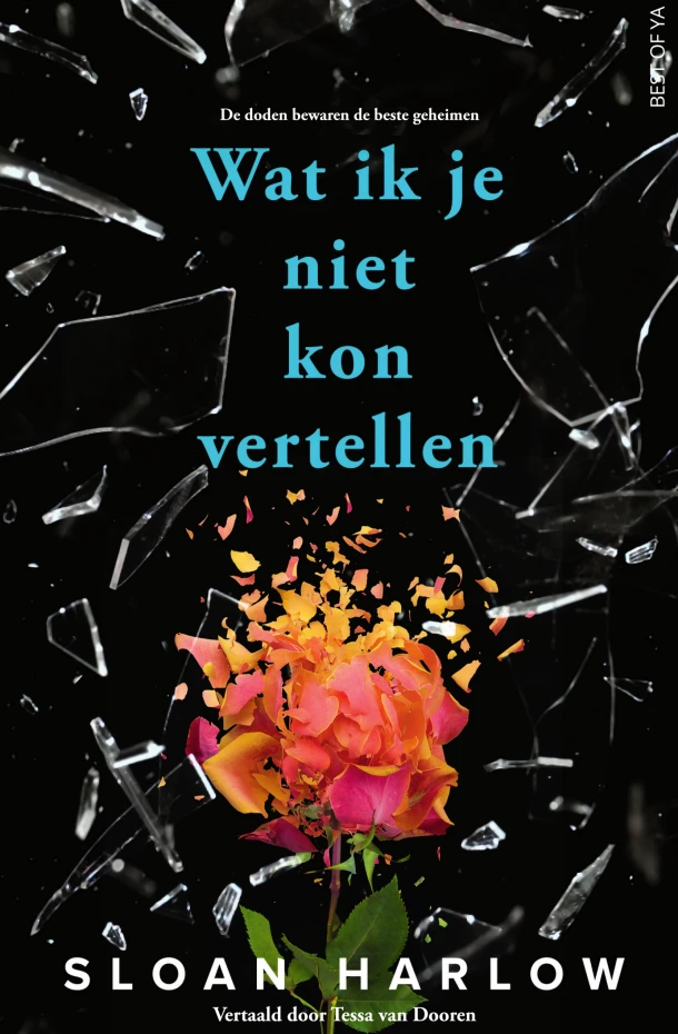 Wat ik je niet kon vertellen – Sloan Harlow – boek cover