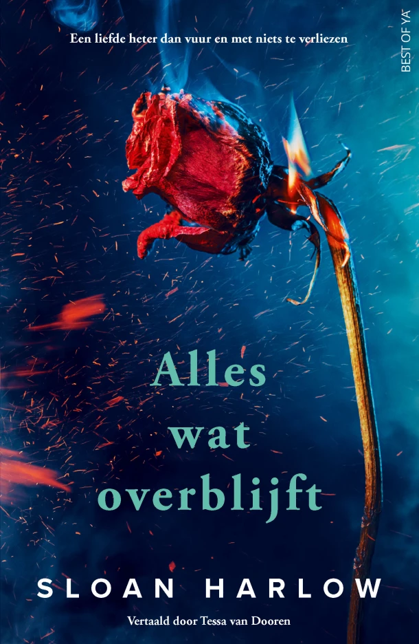 Alles wat overblijft – Sloan Harlow – boek cover