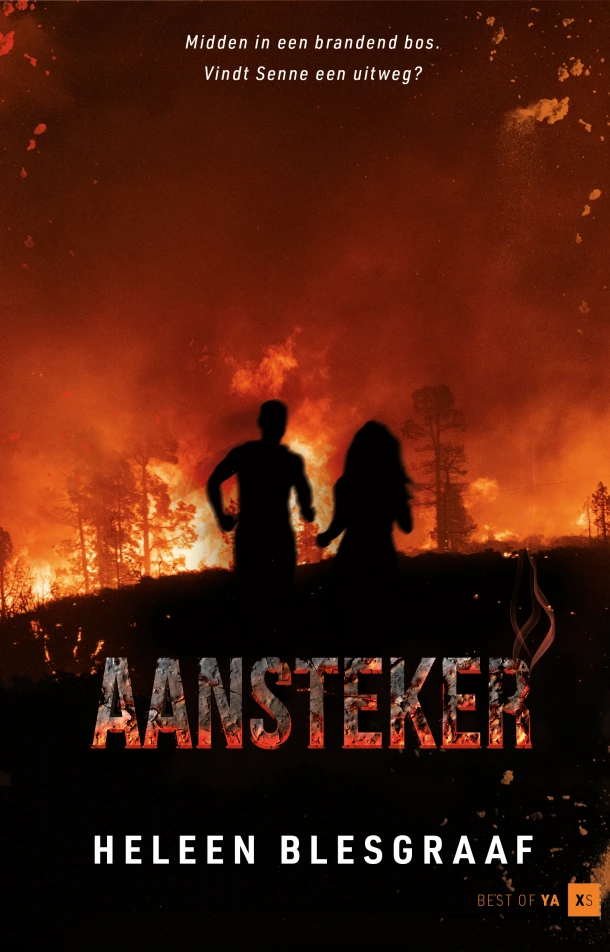 Aansteker – Heleen Blesgraaf – boek cover