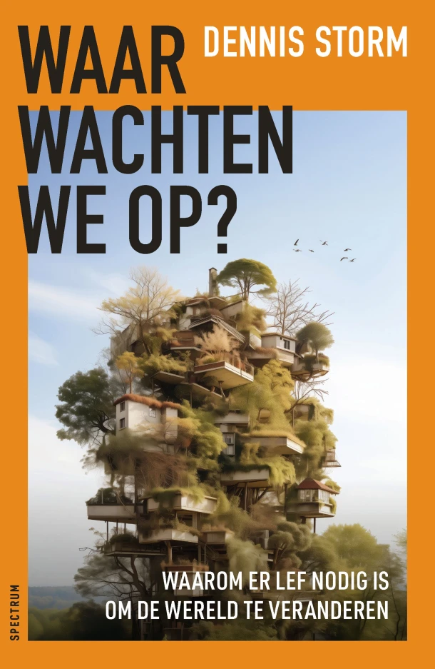Waar wachten we op? – Dennis Storm – boek cover