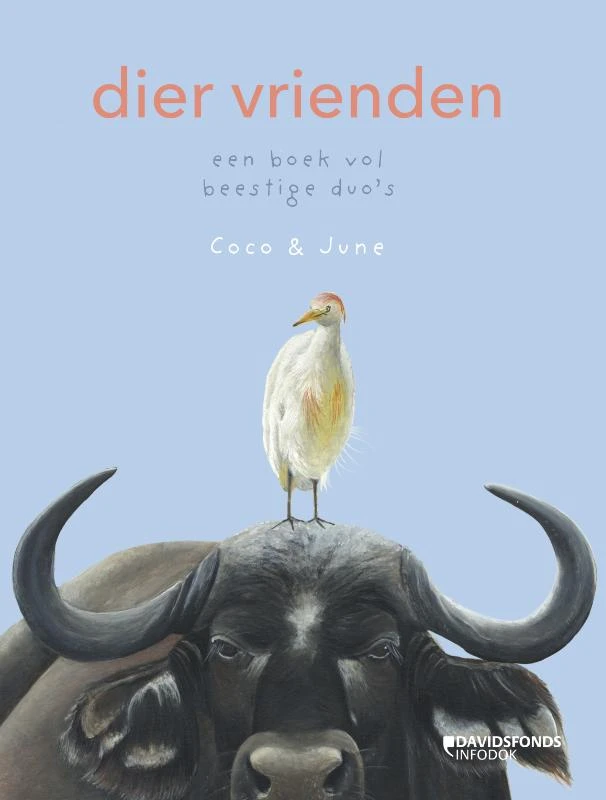 Dier vrienden – Coco & June – boek cover