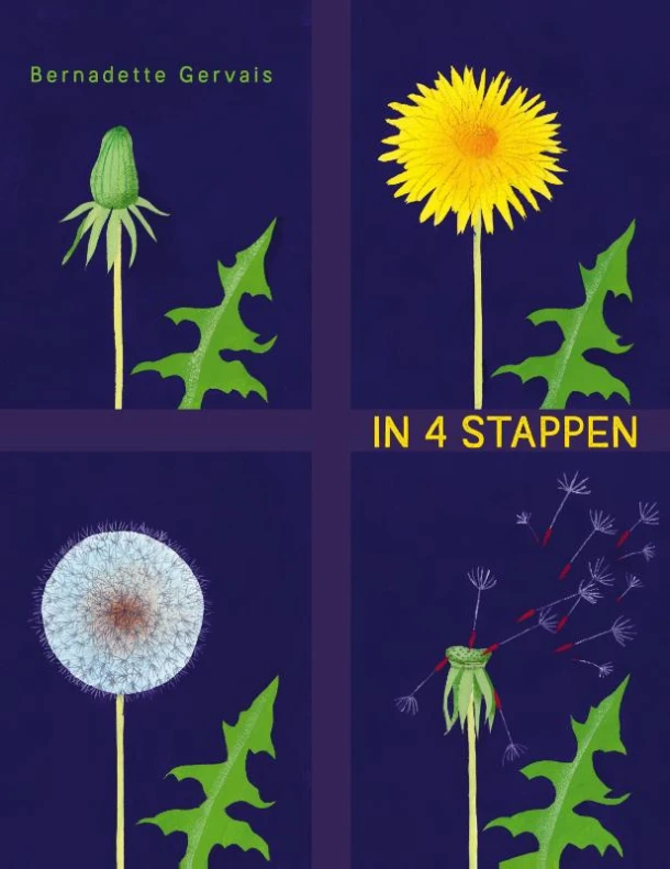 In 4 stappen – Bernadette Gervais – boek cover