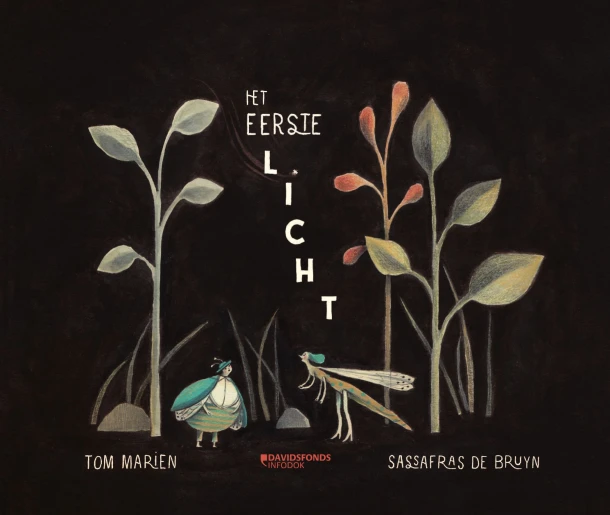 Het eerste licht – Tom Marien – boek cover