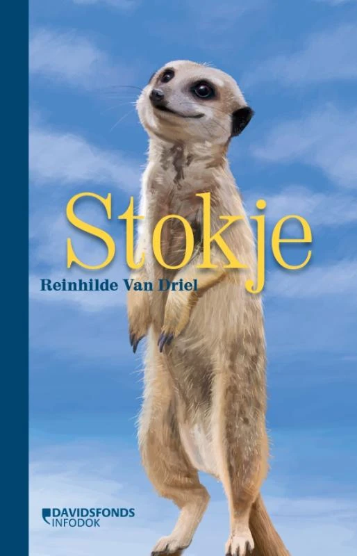Stokje – Reinhilde van Driel – boek cover