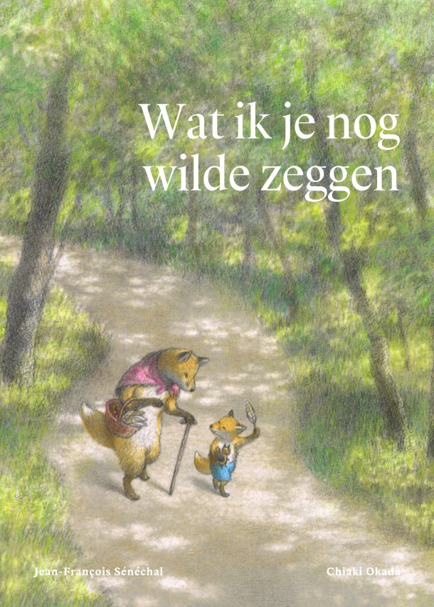 Wat ik je nog wilde zeggen – Jean-François Sénéchal – boek cover