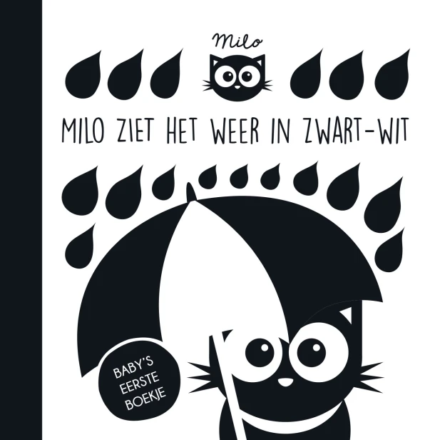 Milo ziet het weer in zwart-wit – Rowena Blyth – boek cover