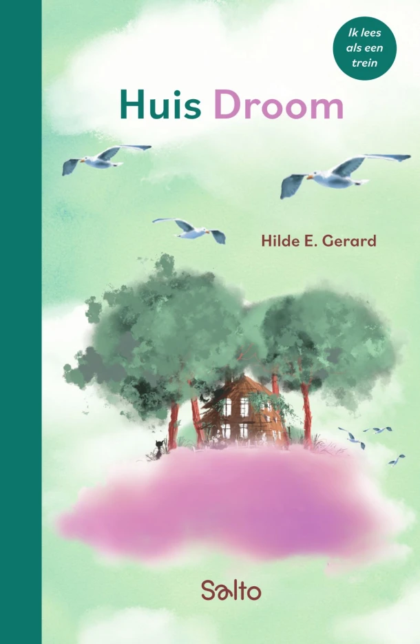 Huis Droom - Ik lees als een trein – Hilde E. Gerard – boek cover