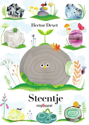 Steentje – Hector Dexet – boek cover