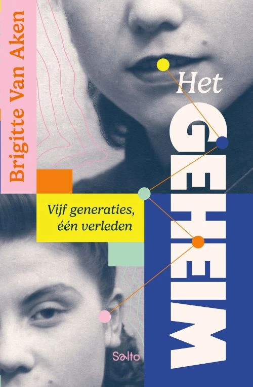 Het geheim. Vijf generaties, één verleden – Brigitte Van Aken – boek cover