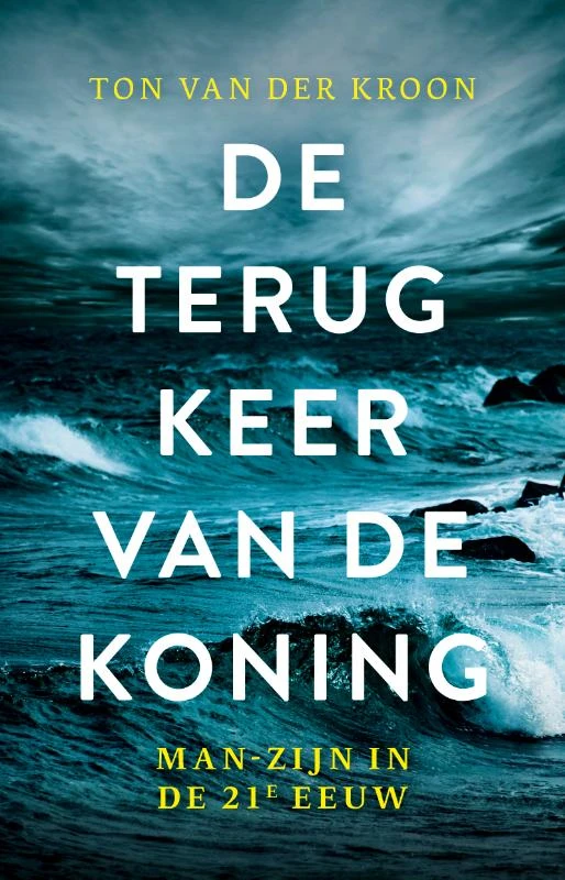 De terugkeer van de koning – boek cover