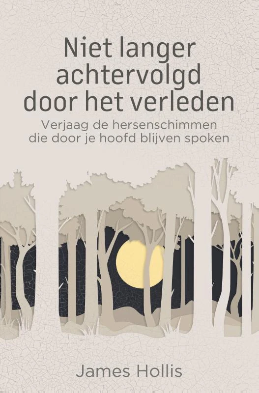 Niet langer achtervolgd door het verleden – James Hollis – boek cover