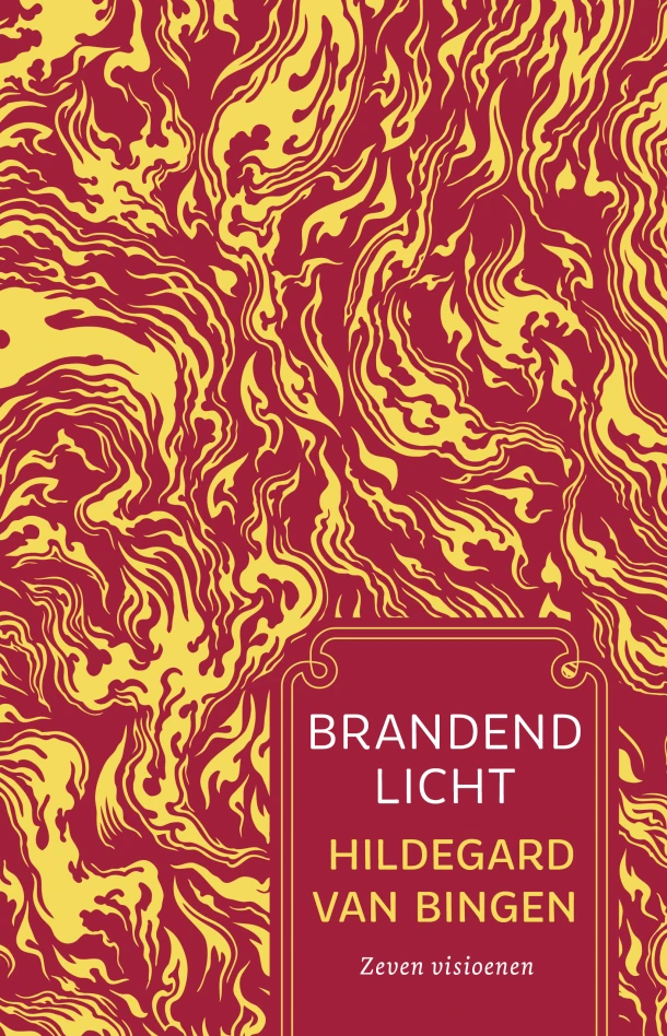 Brandend licht – Hildegard van Bingen – boek cover