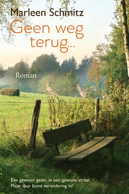 Geen weg terug – Marleen Schmitz – boek cover