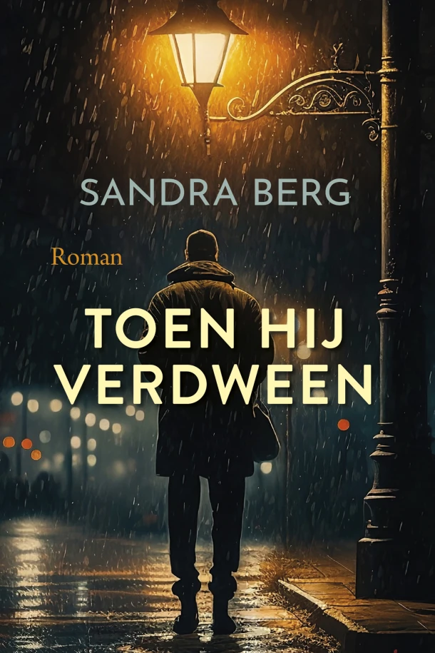 Toen hij verdween – Sandra Berg – boek cover