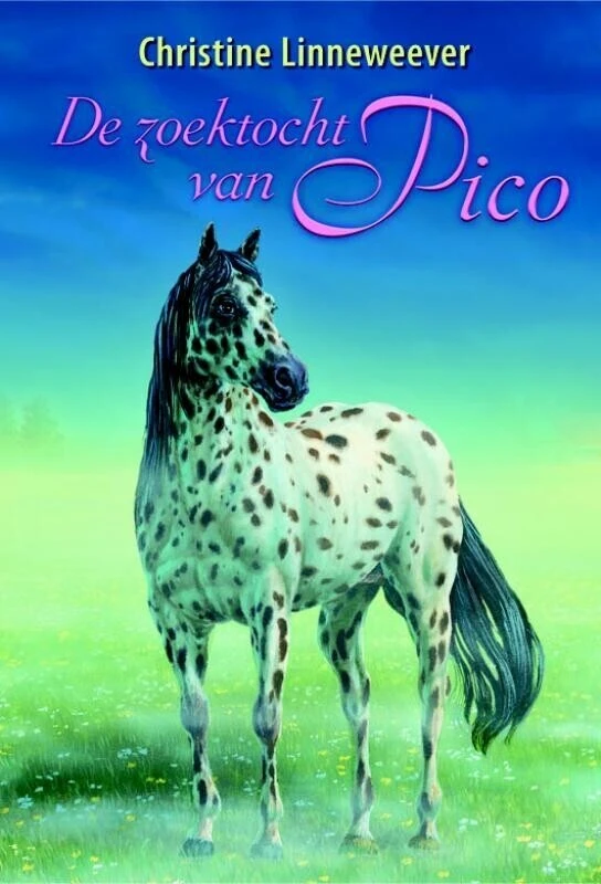 De zoektocht van Pico – boek cover