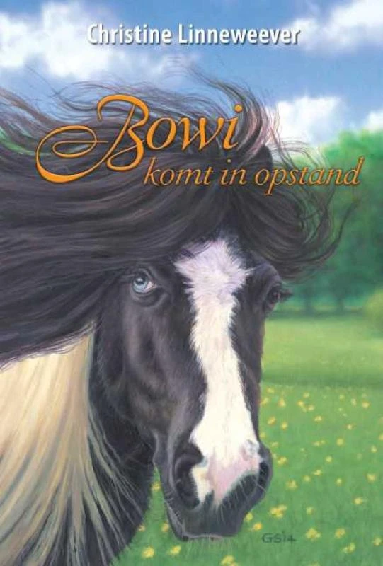 Bowi komt in opstand – Christine Linneweever – boek cover