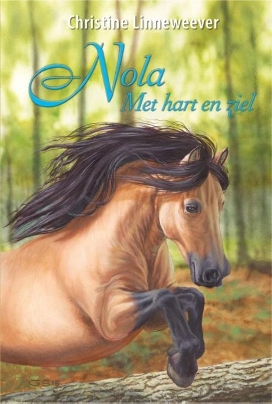 Nola met hart en ziel – Christine Linneweever – boek cover