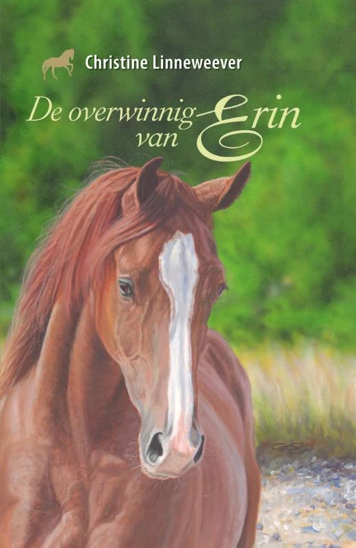 De overwinning van Erin – Christine Linneweever – boek cover