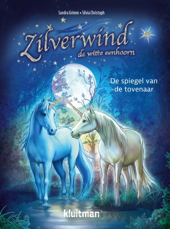 De spiegel van de tovenaar – Sandra Grimm – boek cover