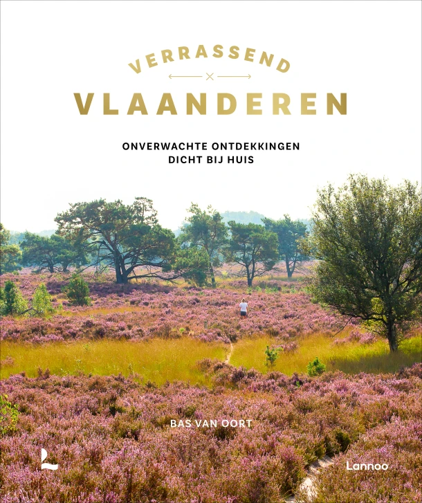 Verrassend Vlaanderen – Bas van Oort – boek cover