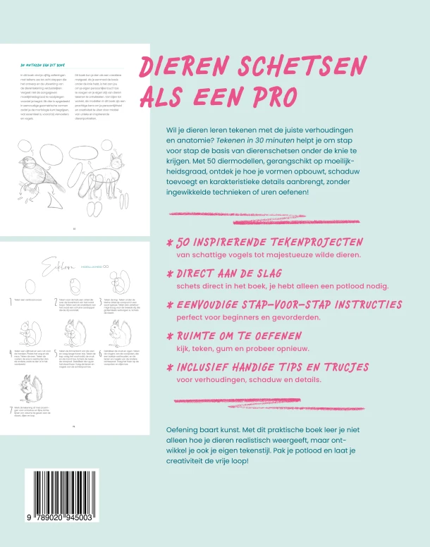 Tekenen in 30 minuten – Niels Roman – boek cover