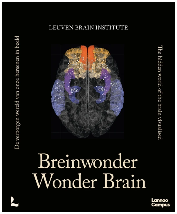 Breinwonder / Wonder Brain – Mathieu Vandenbulcke – boek cover