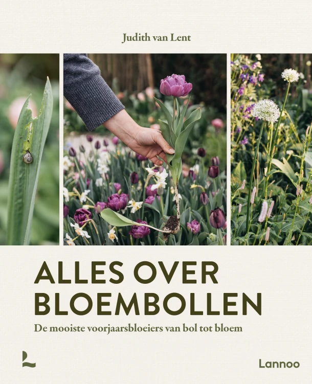 Alles over bloembollen – Judith van Lent – boek cover