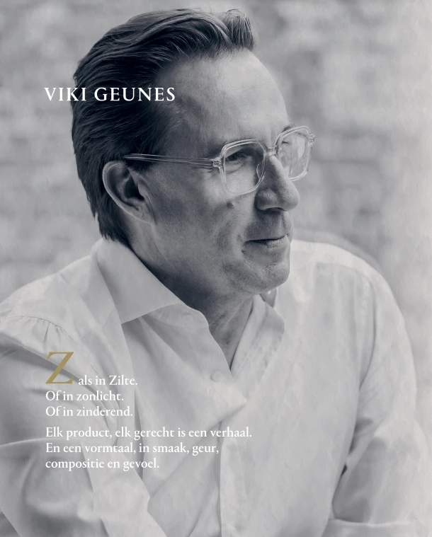 Zilte – Viki Geunes – boek cover