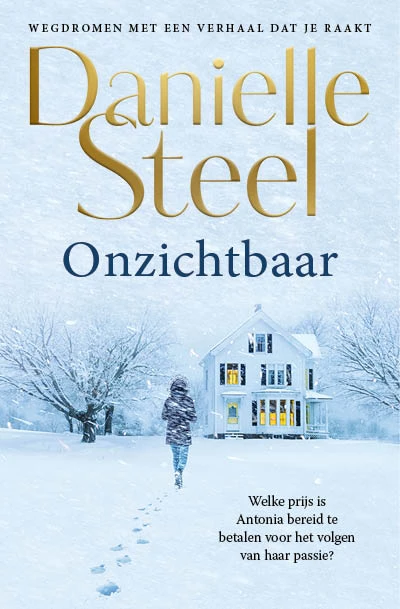 Onzichtbaar – Danielle Steel – boek cover