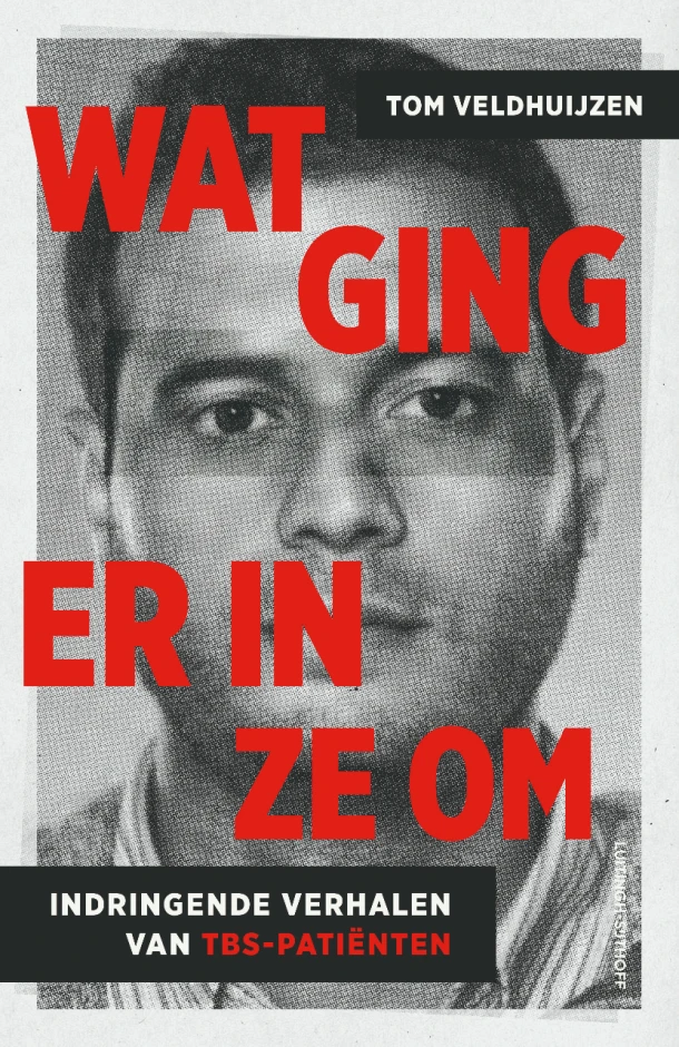 Wat ging er in ze om – Tom Veldhuijzen – boek cover