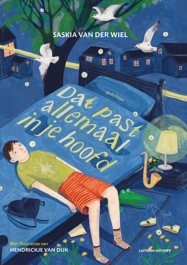 Dat past allemaal in je hoofd – Saskia van der Wiel – boek cover