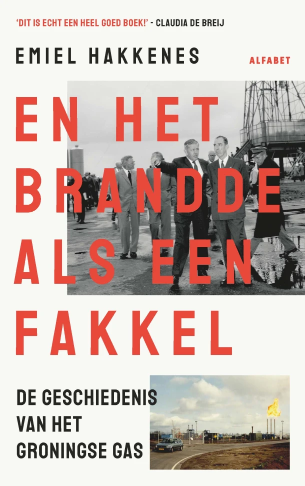 En het brandde als een fakkel – Emiel Hakkenes – boek cover
