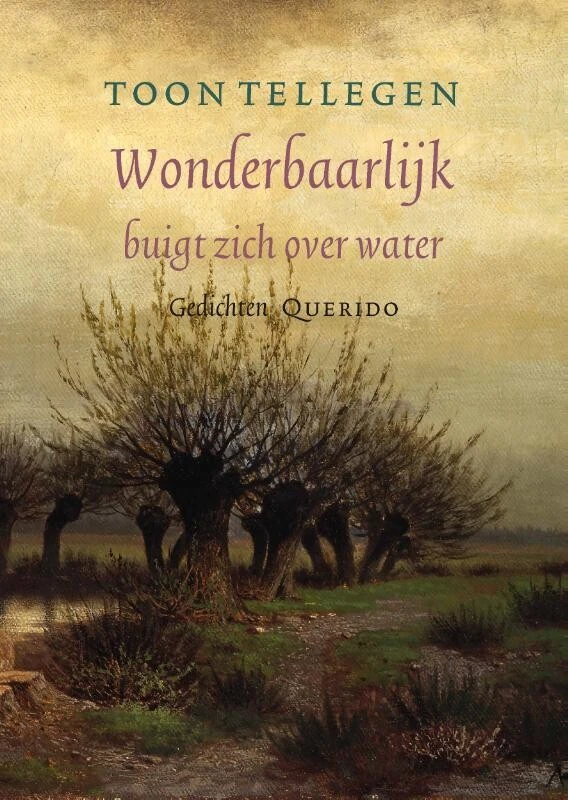 Wonderbaarlijk buigt zich over water – Toon Tellegen – boek cover