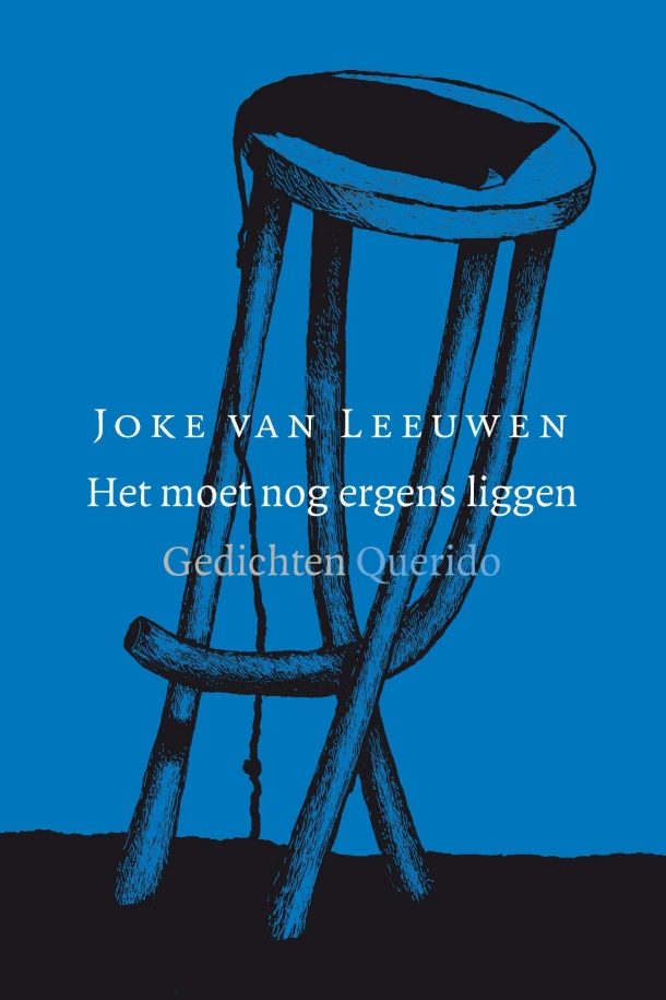 Het moet nog ergens liggen – Joke van Leeuwen – boek cover