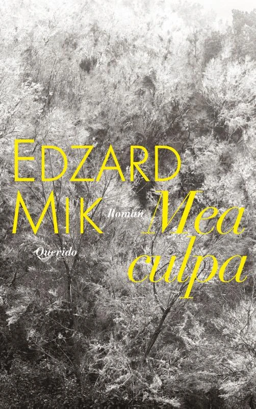 Mea culpa – Edzard Mik – boek cover