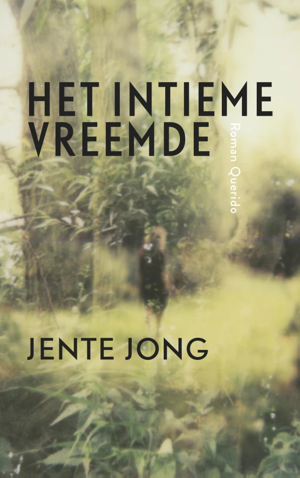 Het intieme vreemde – Jente Jong – boek cover