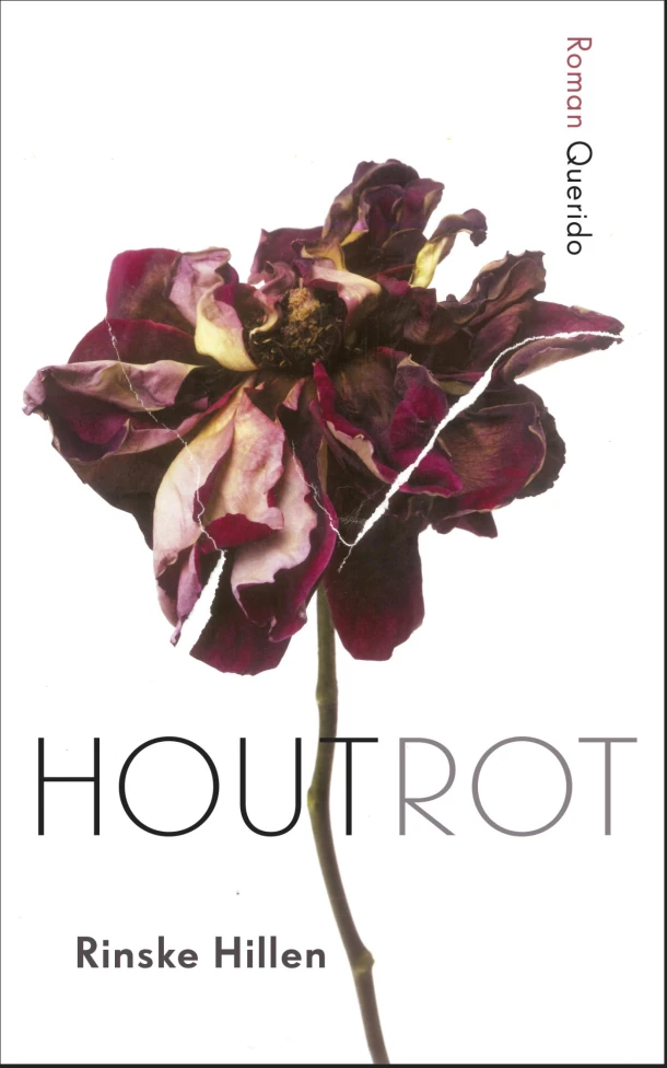 Houtrot – Rinske Hillen – boek cover